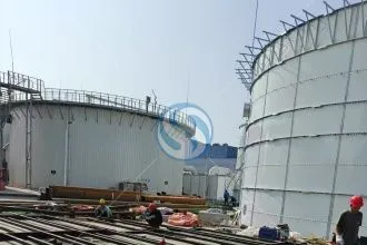 Epoxy-Coated Steel Tank vs Glass-Fused-to-Steel: Which Tank Is Better?