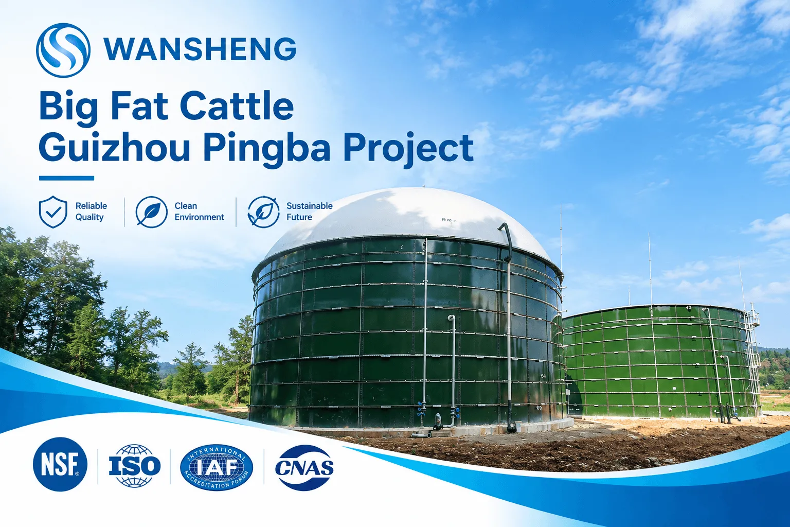 Big Fat Cattle Guizhou Pingba Project