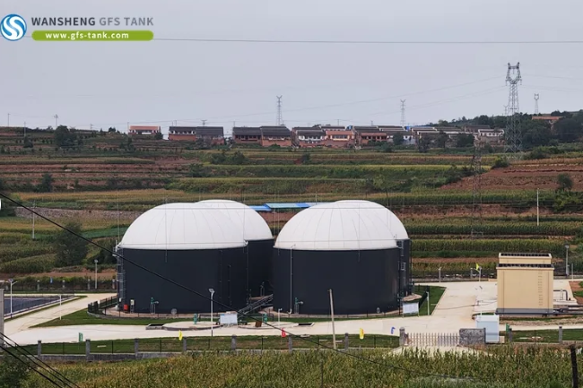 Anaerobic Digester Tanks.png